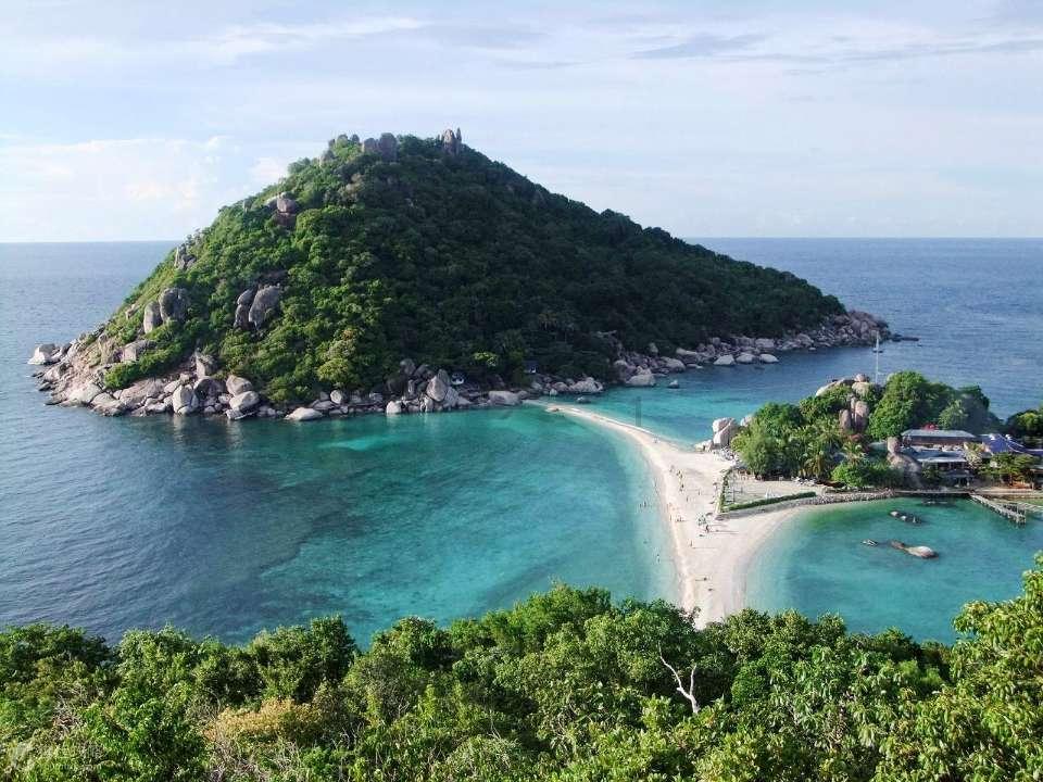 逃离橡子树种植地